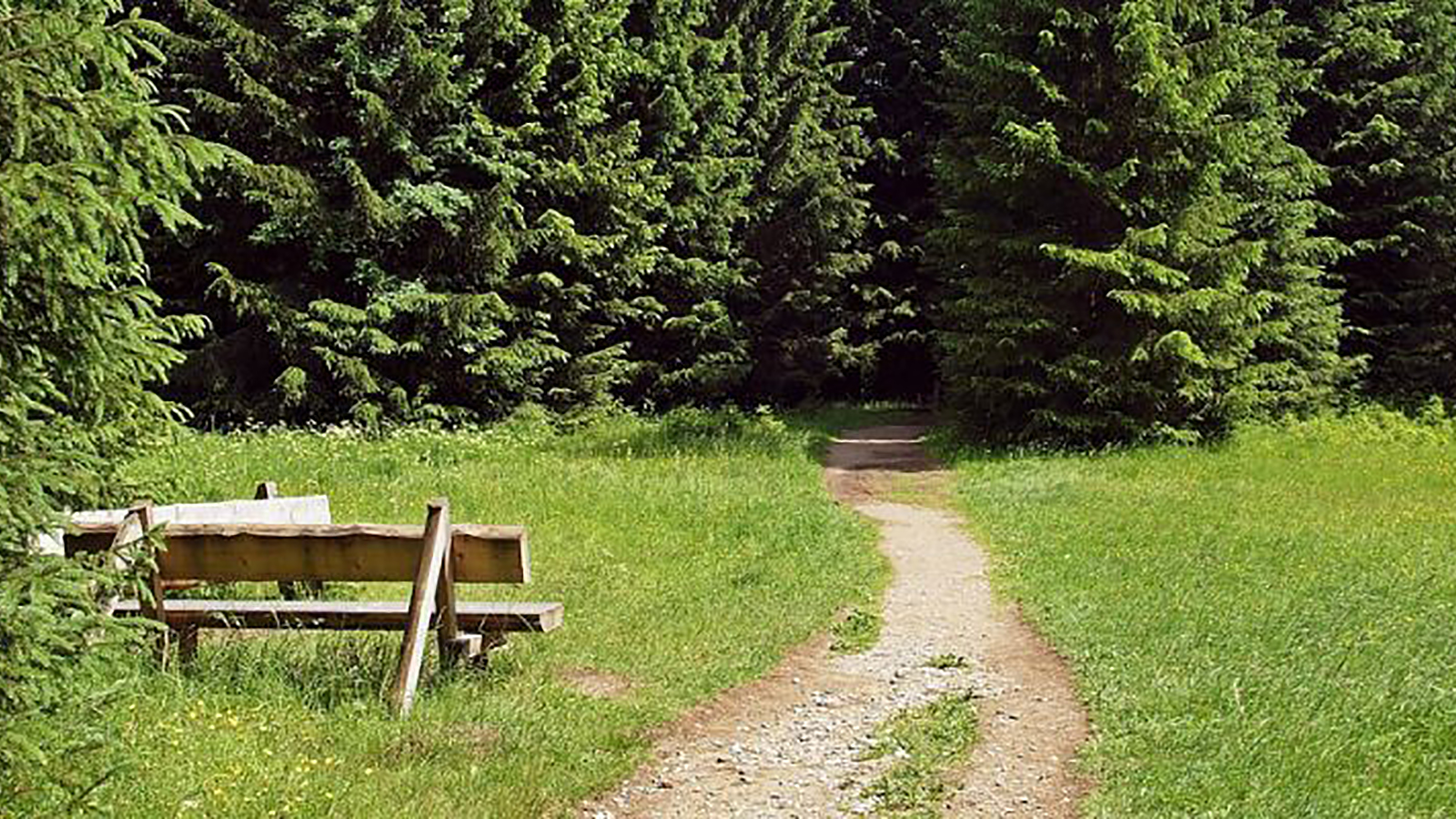 Nieheim-Marsch: Wie aus einer Idee ein Gemeinschaftsprojekt wurde